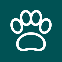 usp icon