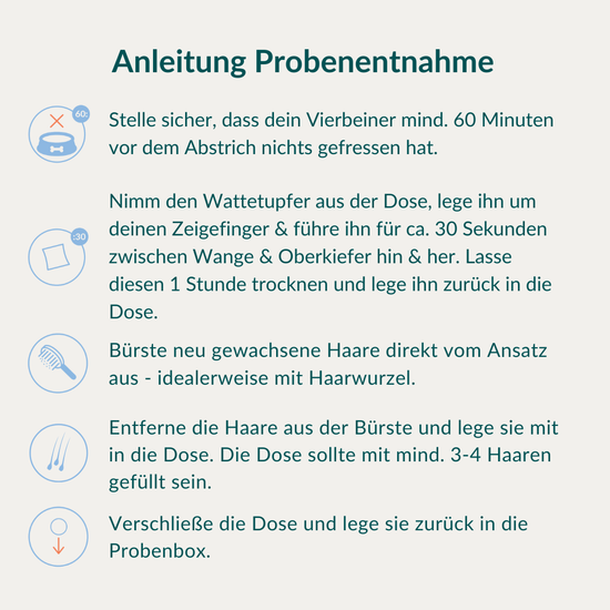 Allergietest Basic Pferd