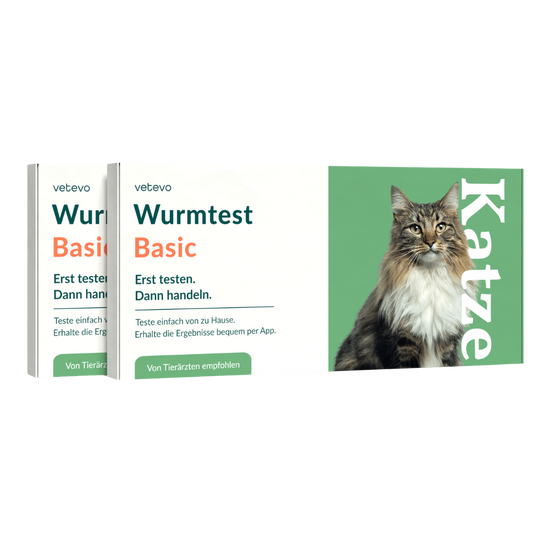 Wurmtest Basic Katze