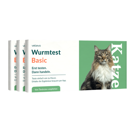 Wurmtest Basic Katze