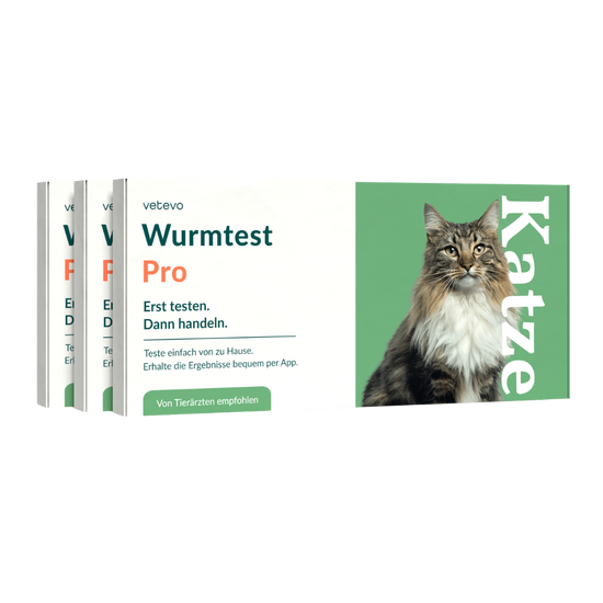 Wurmtest Pro Katze