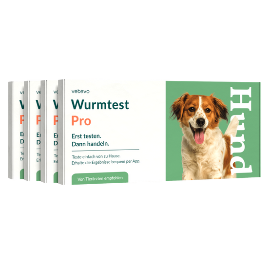 Wurmtest Pro Hund