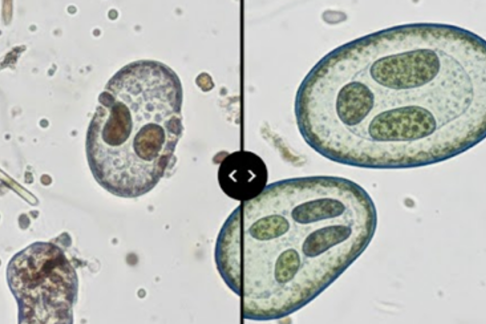 secondary banner image