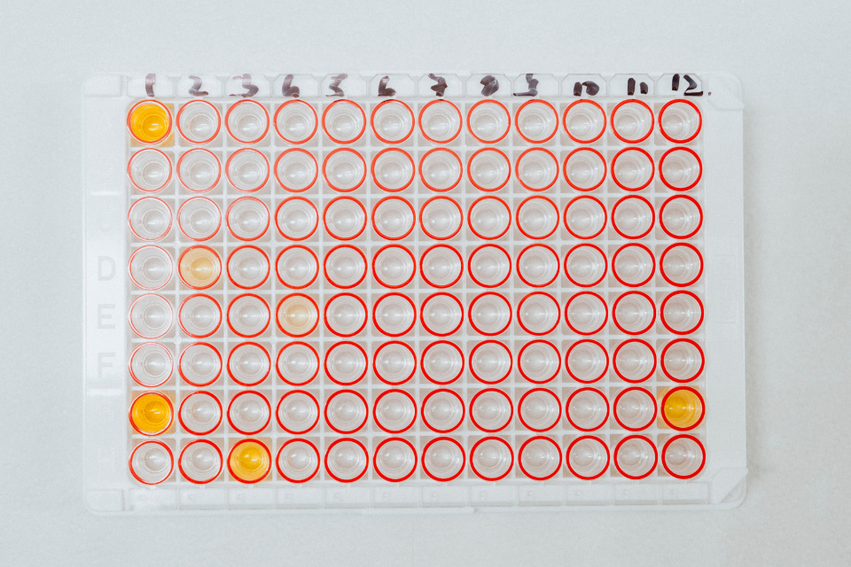 secondary banner image