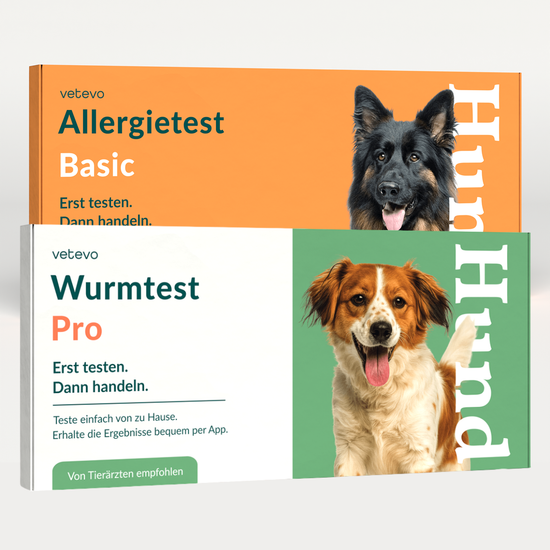 Allergietest Basic & Wurmtest Pro Hund