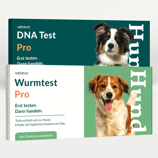 DNA Test Rassebestimmung Pro Hund & Wurmtest Pro Hund