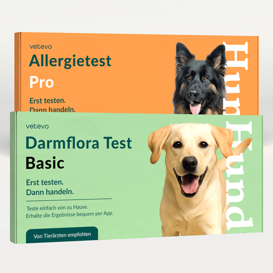 Allergietest Pro & Darmflora Test Hund