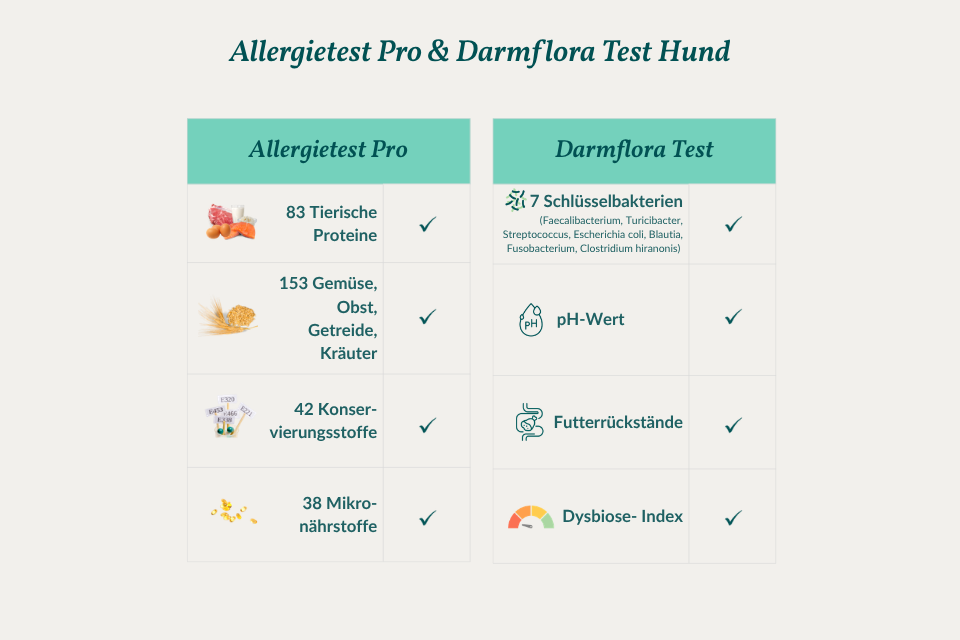 secondary banner image