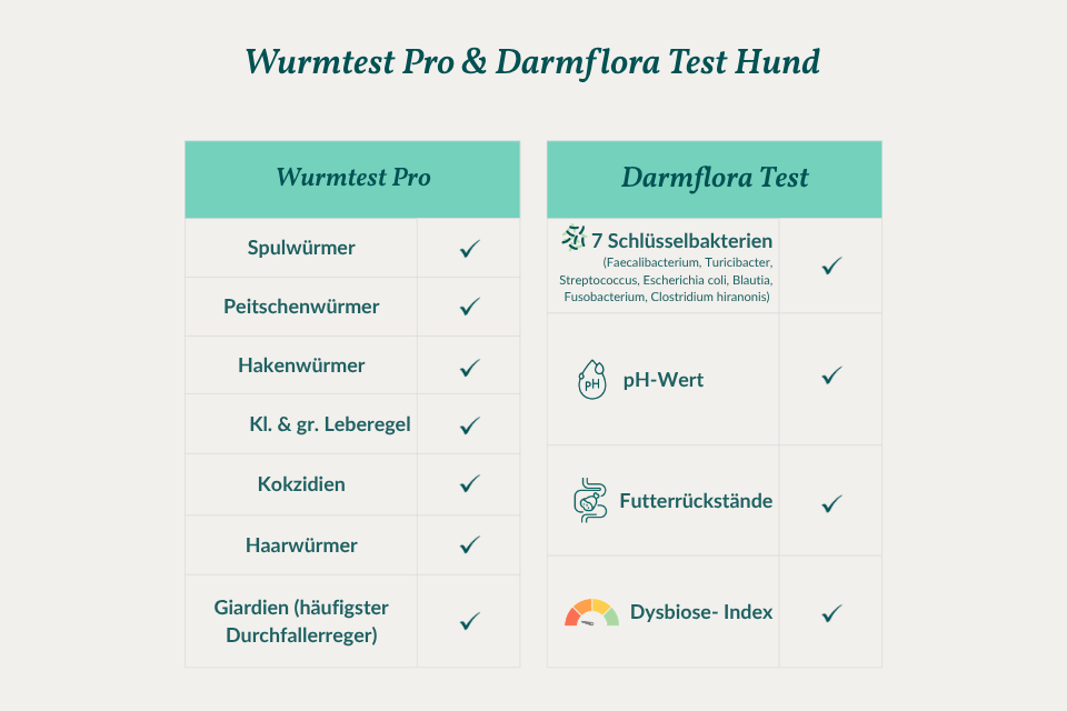 secondary banner image