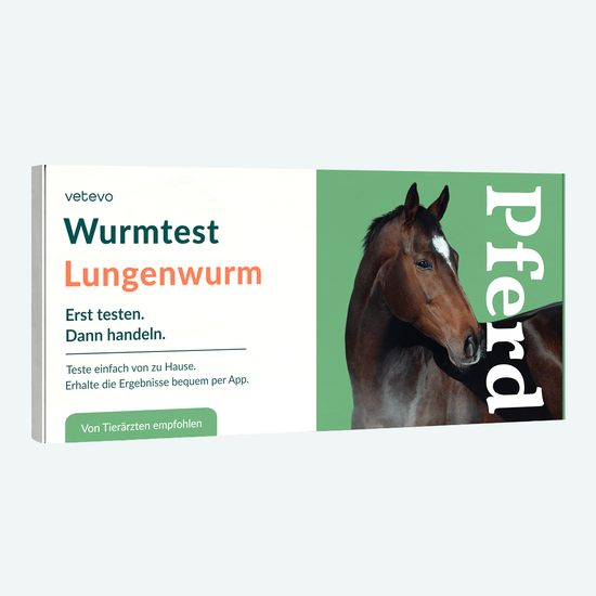 Lungenwurmtest Pferd