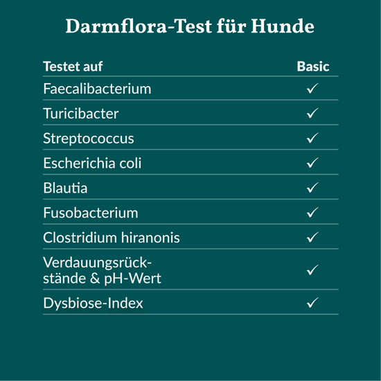 Wurmtest Pro & Darmflora Test Hund