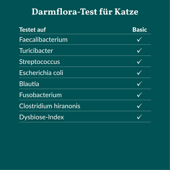 Darmflora Test Katze