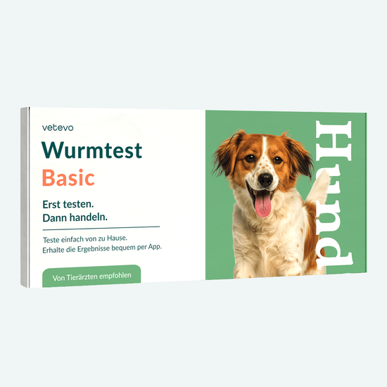 Wurmtest Basic Hund