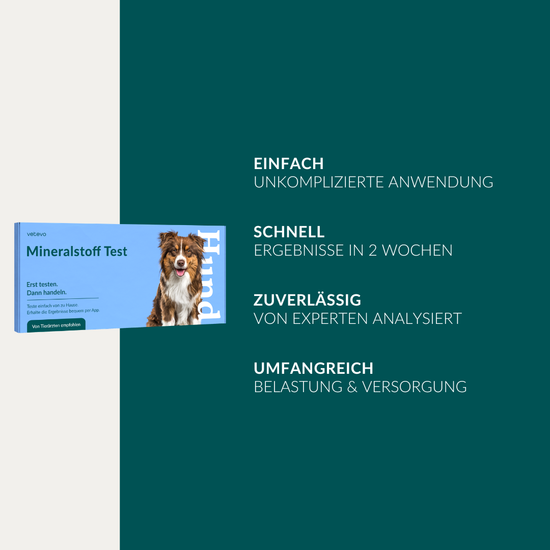 Mineralstofftest Plus Hund
