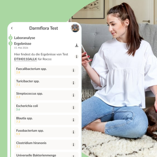 Darmflora Test Hund