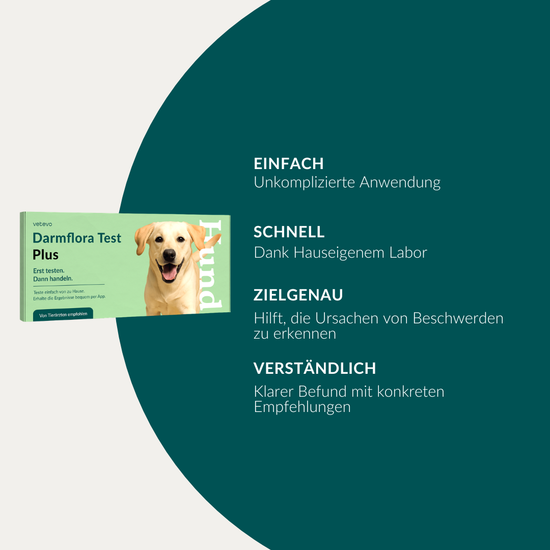 Darmflora Test Plus Hund