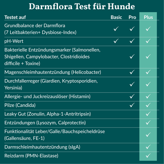 Darmflora Test Plus Hund
