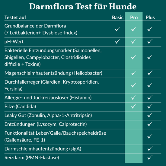 Darmflora Test Pro Hund