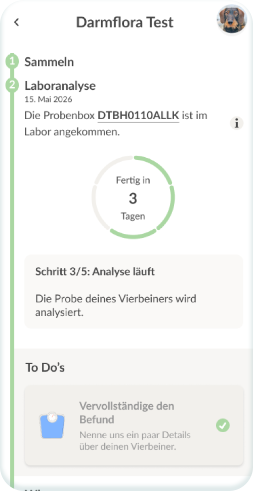 Live-Updates direkt aus dem Labor