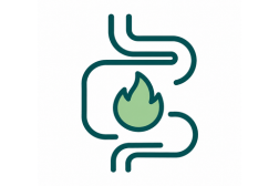 content block image