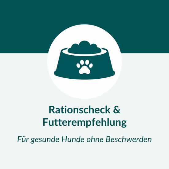 Ernährungsberatung Basic Hund
