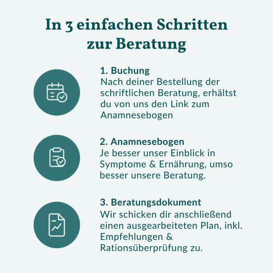 Ernährungsberatung Basic Hund