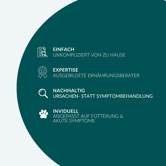 Ernährungsberatung Basic Hund