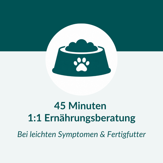 Ernährungsberatung Pro Hund