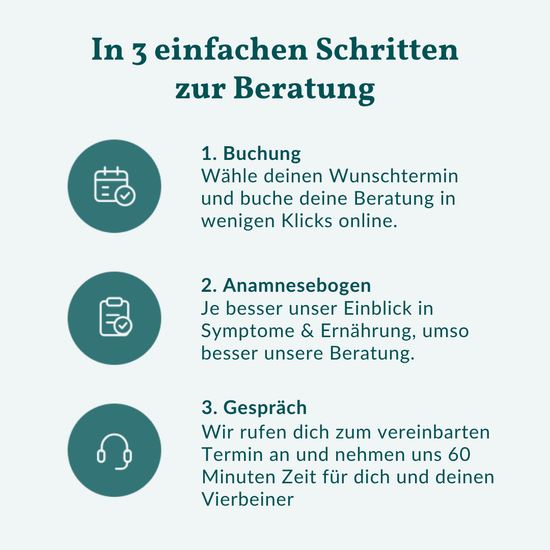 Ernährungsberatung für Hunde