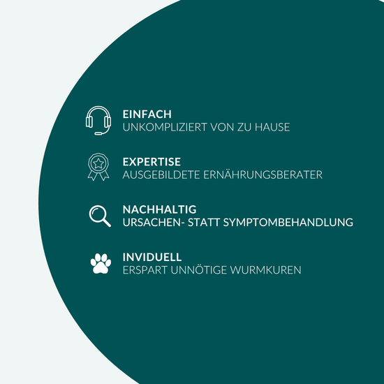 Ernährungsberatung für Hunde