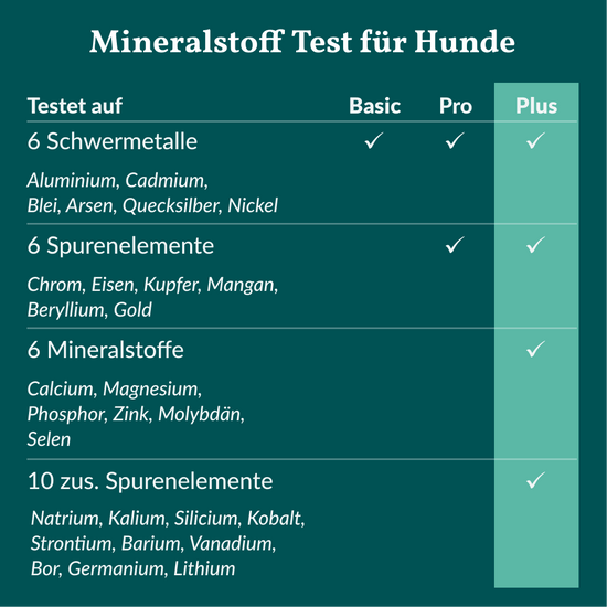 Mineralstoff Test Plus Hund