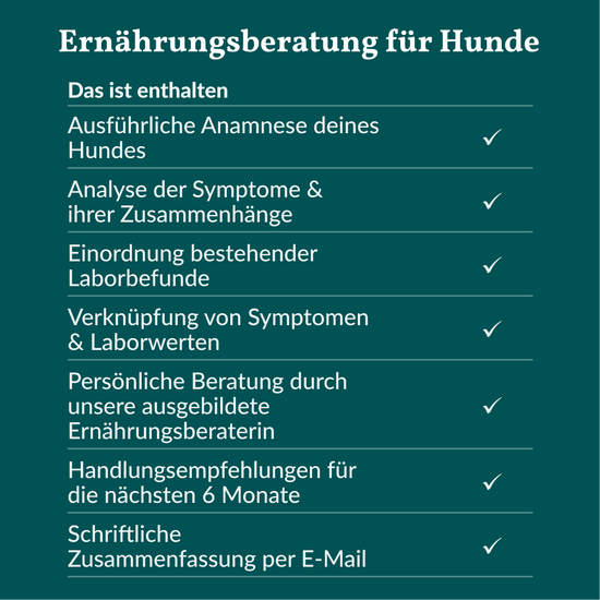Ernährungsberatung für Hunde
