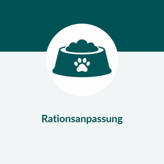 Product card image