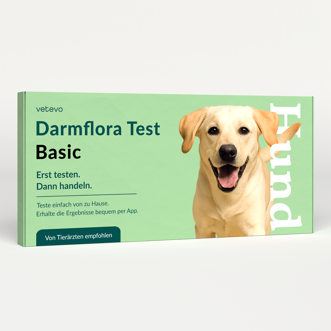 Darmflora Test Basic Hund