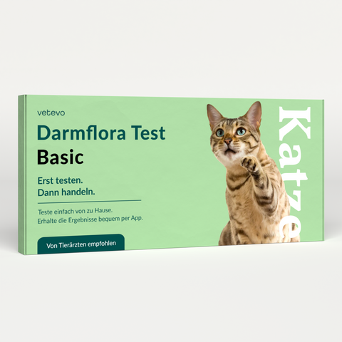 Product card image