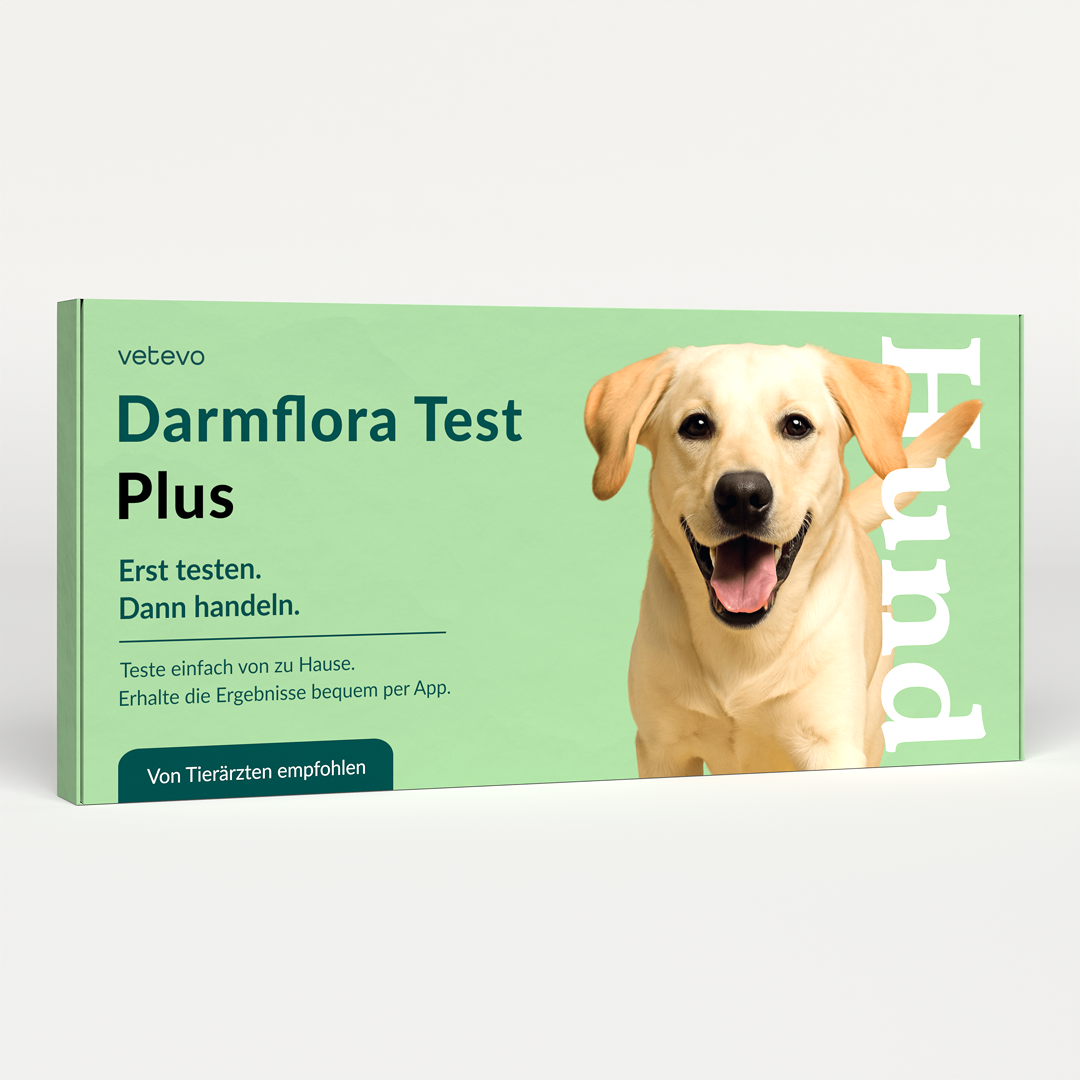Darmflora Test Plus Hund