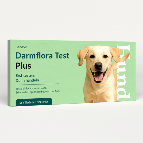 Darmflora Test Plus Hund
