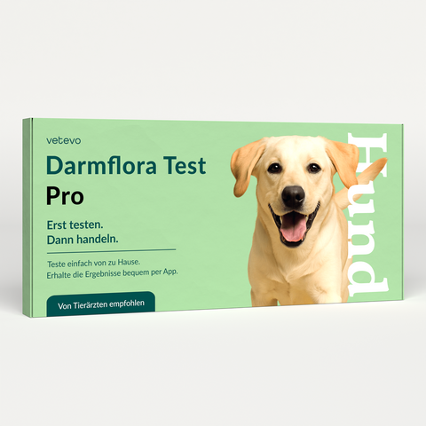 Product card image