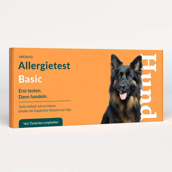 DNA Test Rassebestimmung Pro & Allergietest Basic Hund