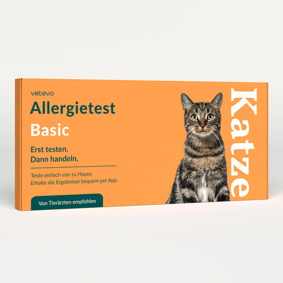 Allergietest Basic Katze