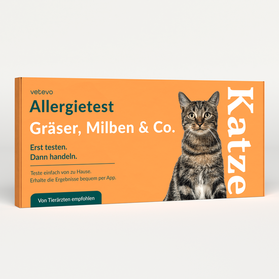 Allergietest - Gräser, Milben & Co. Katze