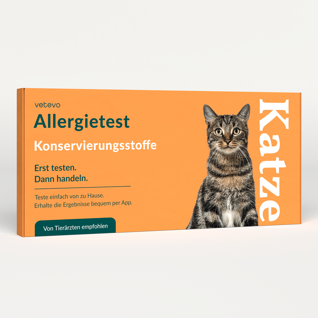 Allergietest - Konservierungsstoffe Katze