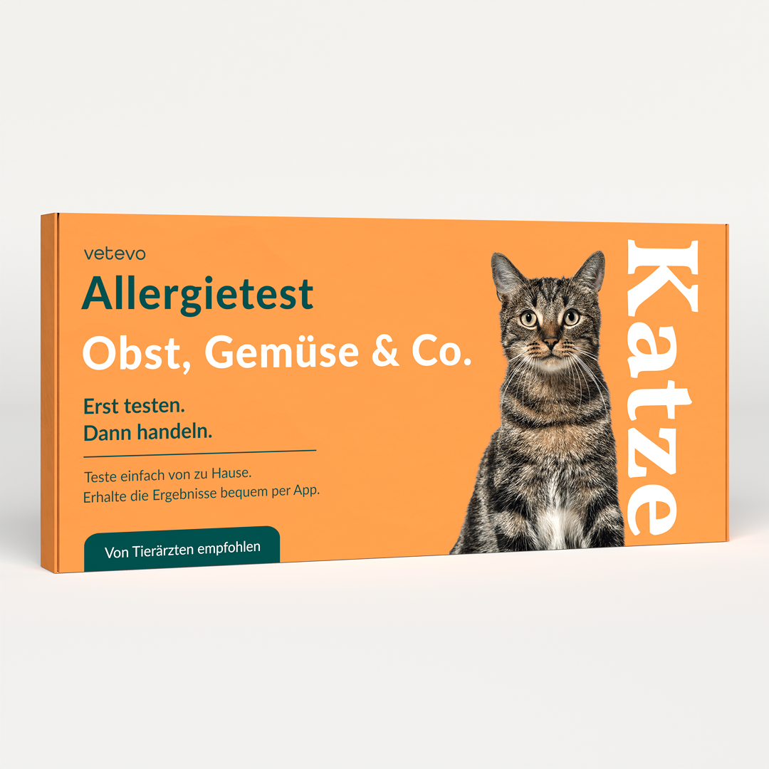 Allergietest - Gemüse, Getreide & Co. Katze