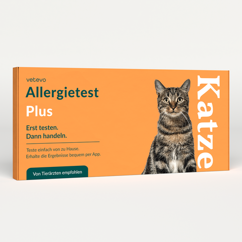 Product card image