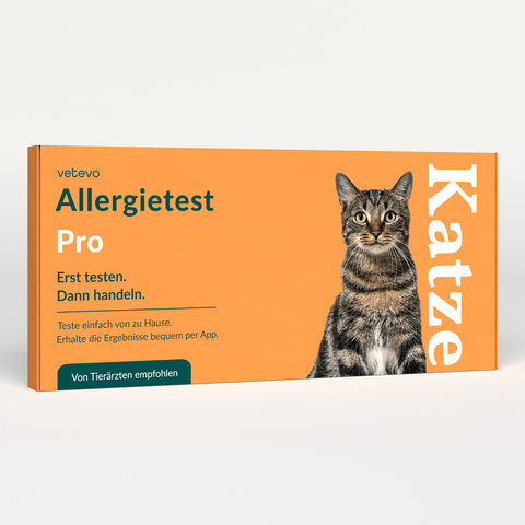 Product card image