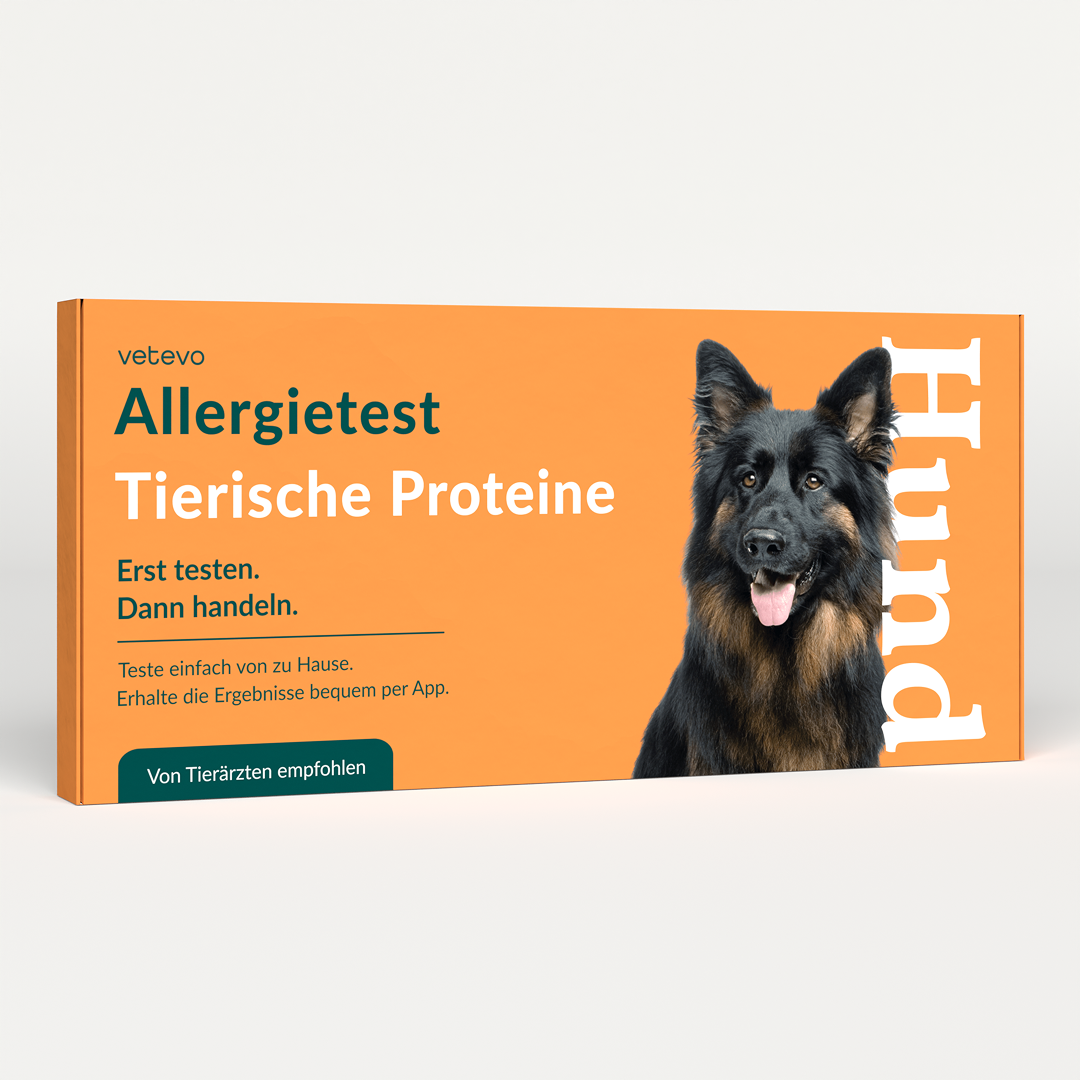 Allergietest - Tierische Proteine Hund
