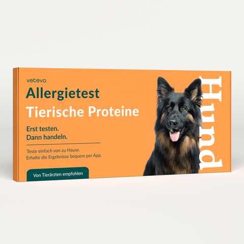 Product card image