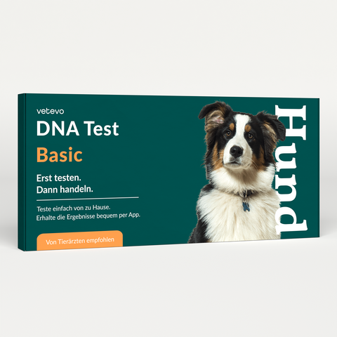 Product card image