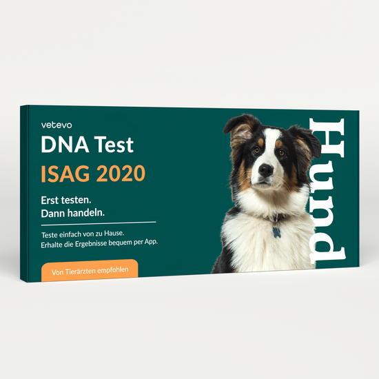 DNA-Profil ISAG