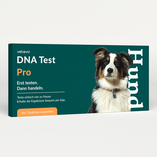 DNA Test Rassebestimmung Pro Hund